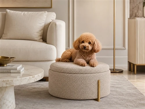 Escolhendo uma boa cama para seu animal de estimação – tudo o que você precis...